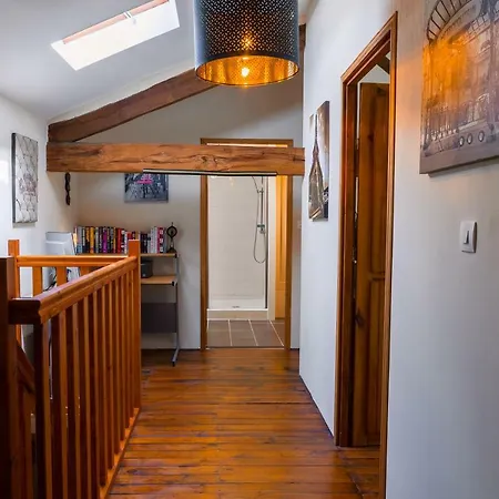 La Grange Vakantiehuis Genouille (Vienne)